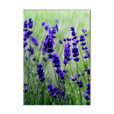 Wall art on glass Lavender field