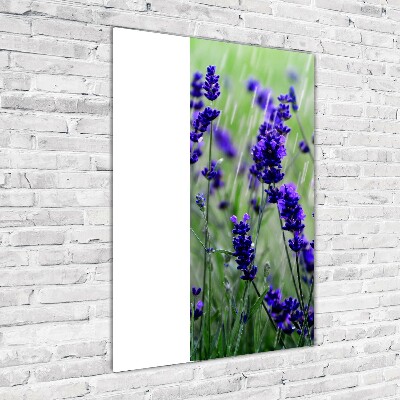 Wall art on glass Lavender field