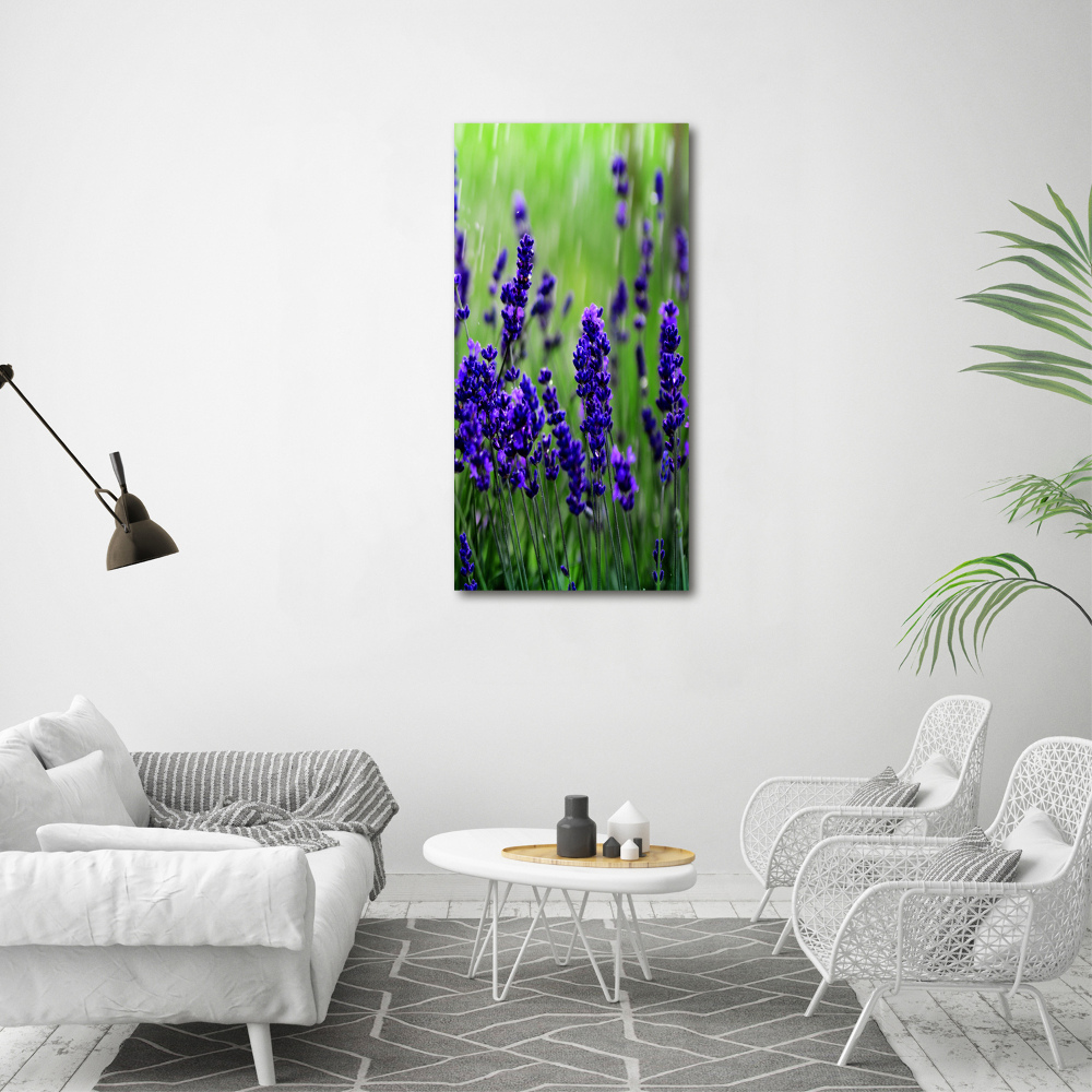 Wall art on glass Lavender field