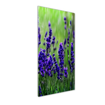 Wall art on glass Lavender field