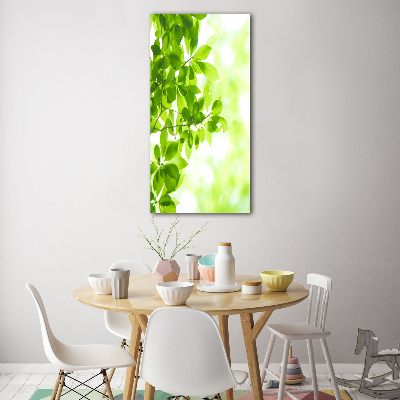 Wall art on glass Green leaves