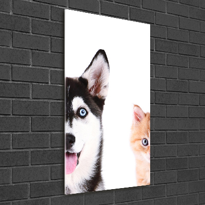 Photo printed on glass Dog and cat