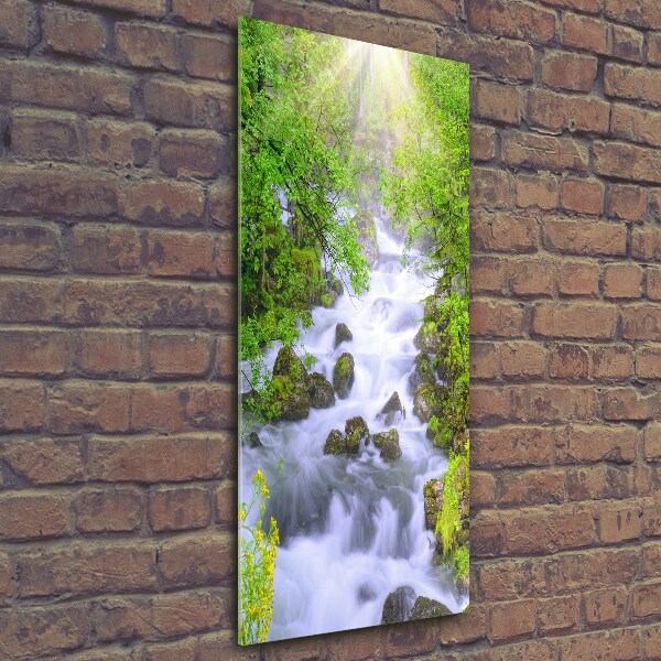 Print on a a glass Mountain stream