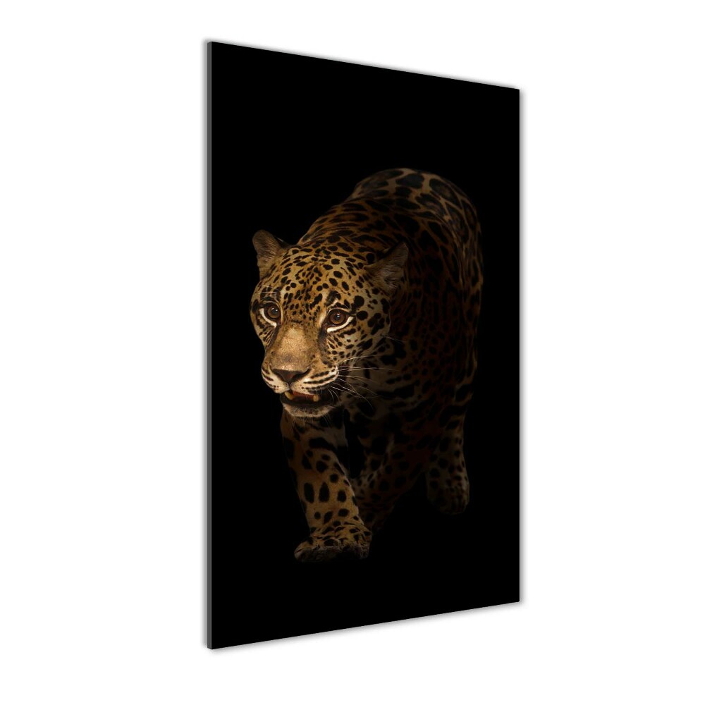 Photo printed on glass Jaguar