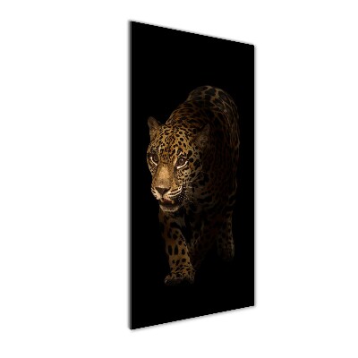 Photo printed on glass Jaguar