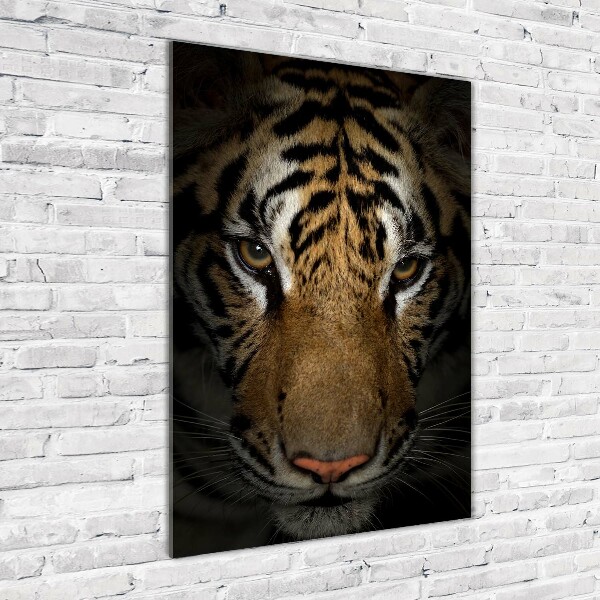 Photo printed on glass Tiger