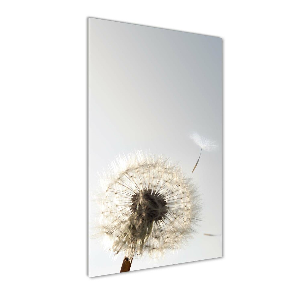 Wall art on glass Dandelion