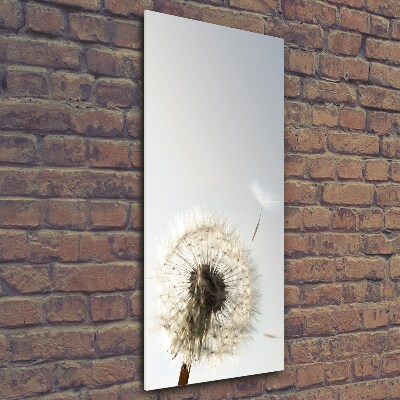 Wall art on glass Dandelion