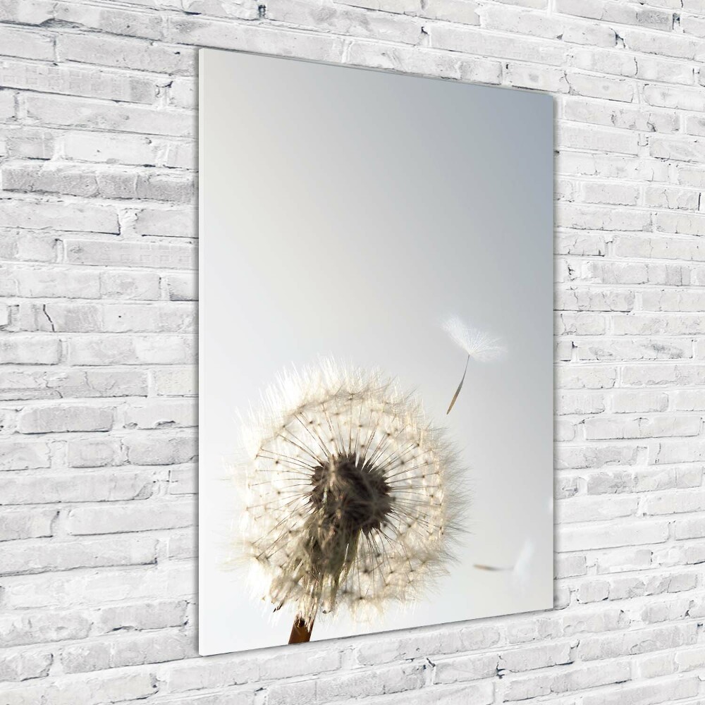 Wall art on glass Dandelion