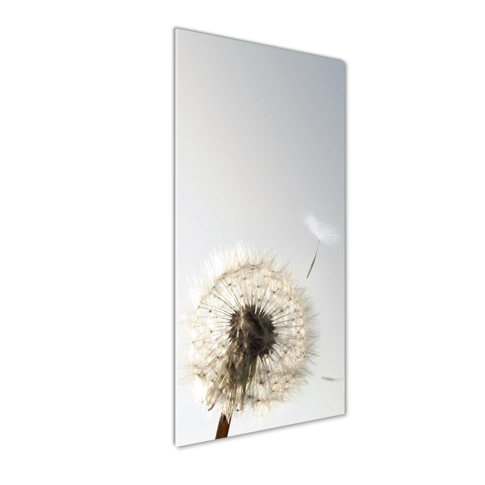 Wall art on glass Dandelion