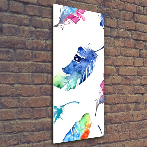 Printed glass wall art Colorful feathers