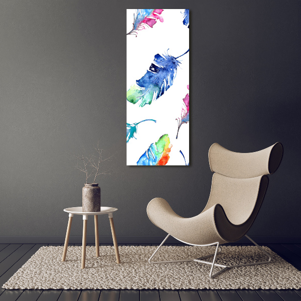 Printed glass wall art Colorful feathers