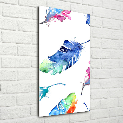 Printed glass wall art Colorful feathers