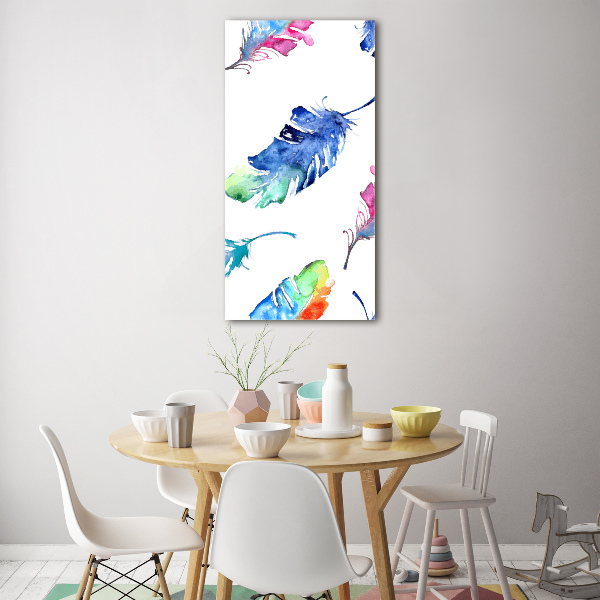 Printed glass wall art Colorful feathers