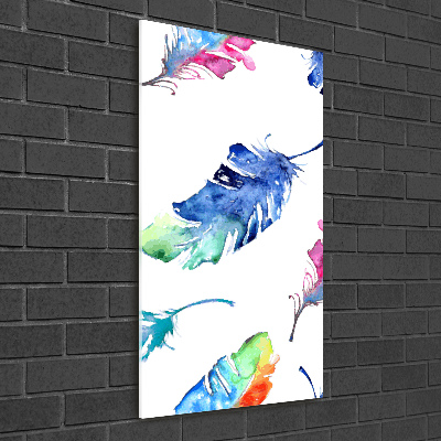 Printed glass wall art Colorful feathers