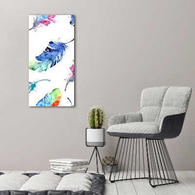 Printed glass wall art Colorful feathers