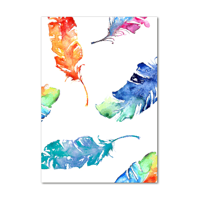 Printed glass wall art Colorful feathers