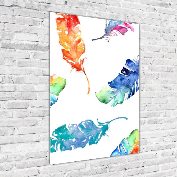 Printed glass wall art Colorful feathers