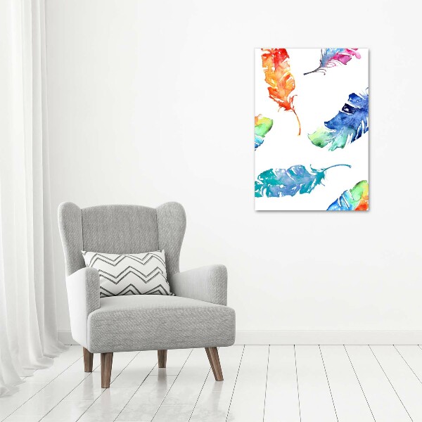 Printed glass wall art Colorful feathers