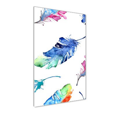 Printed glass wall art Colorful feathers