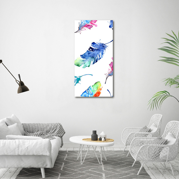 Printed glass wall art Colorful feathers