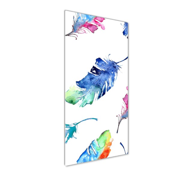 Printed glass wall art Colorful feathers