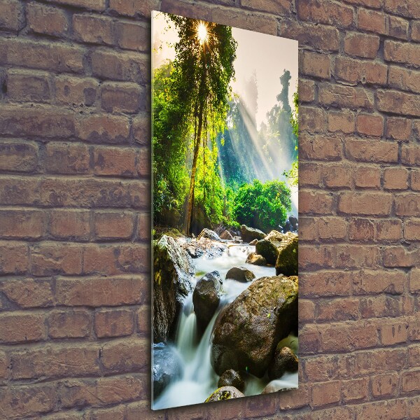 Glass wall art Waterfall in the forest