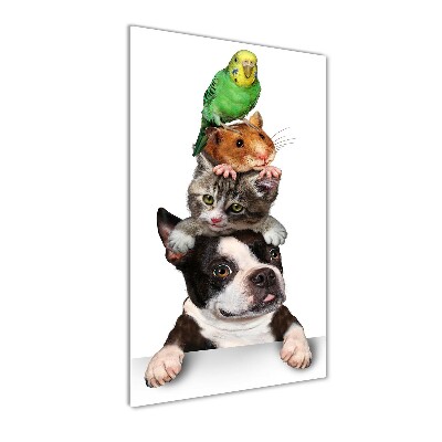 Glass picture wall art Pets