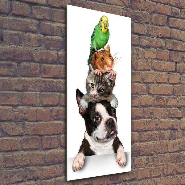 Glass picture wall art Pets