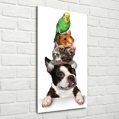 Glass picture wall art Pets