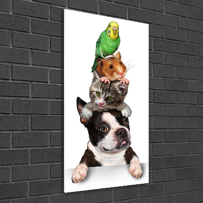 Glass picture wall art Pets