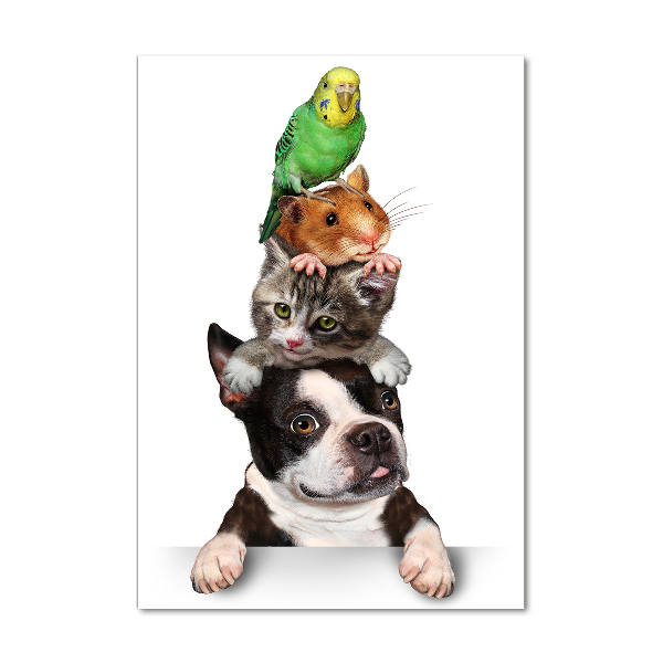 Glass picture wall art Pets