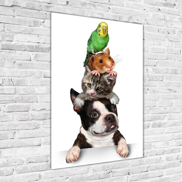 Glass picture wall art Pets