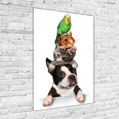 Glass picture wall art Pets