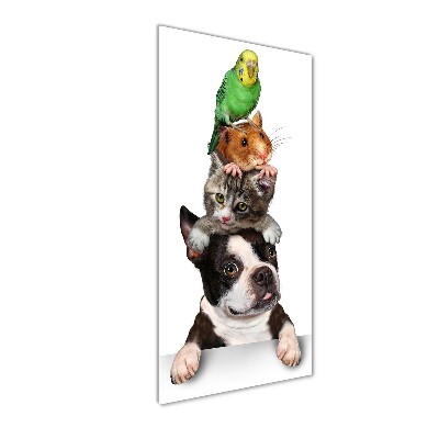 Glass picture wall art Pets