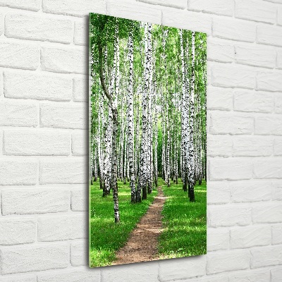 Glass wall art Birch forest