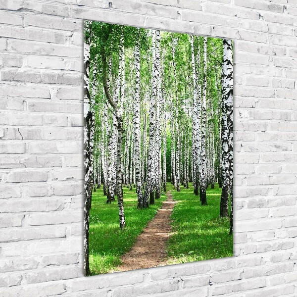 Glass wall art Birch forest