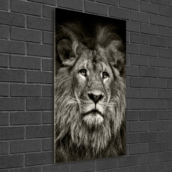 Printed glass wall art Lion