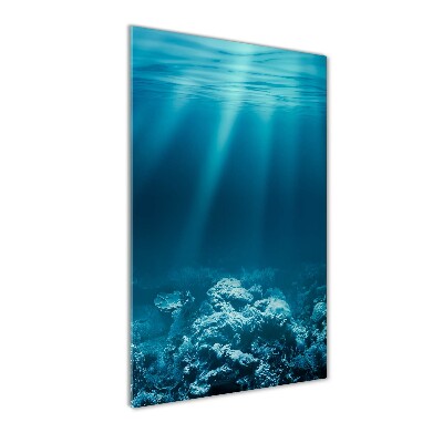 Glass wall art Underwater world