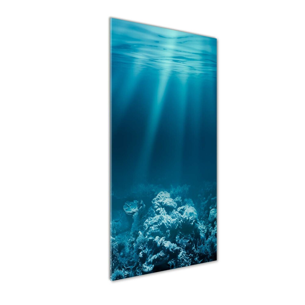 Glass wall art Underwater world