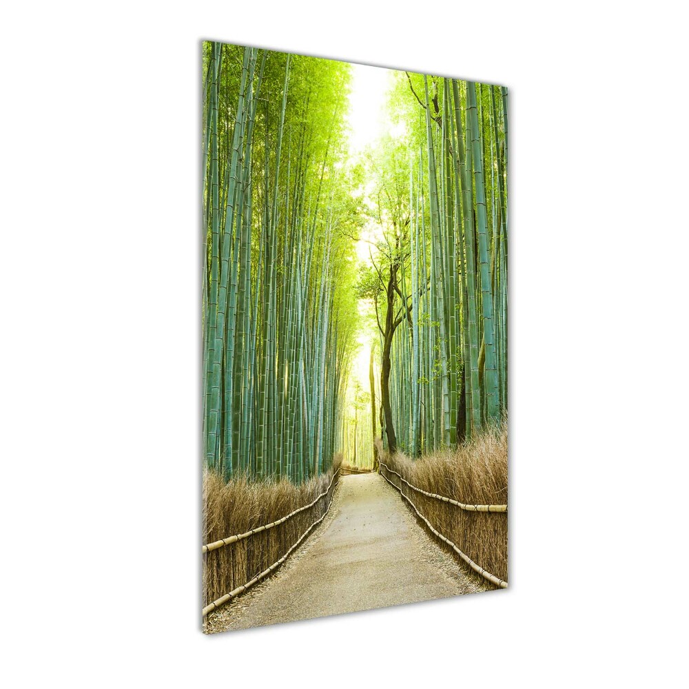 Glass wall art Bamboo forest