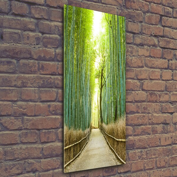 Glass wall art Bamboo forest