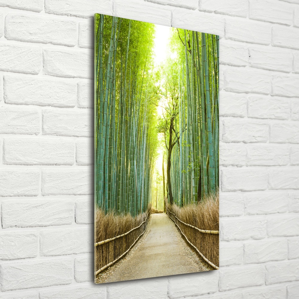 Glass wall art Bamboo forest