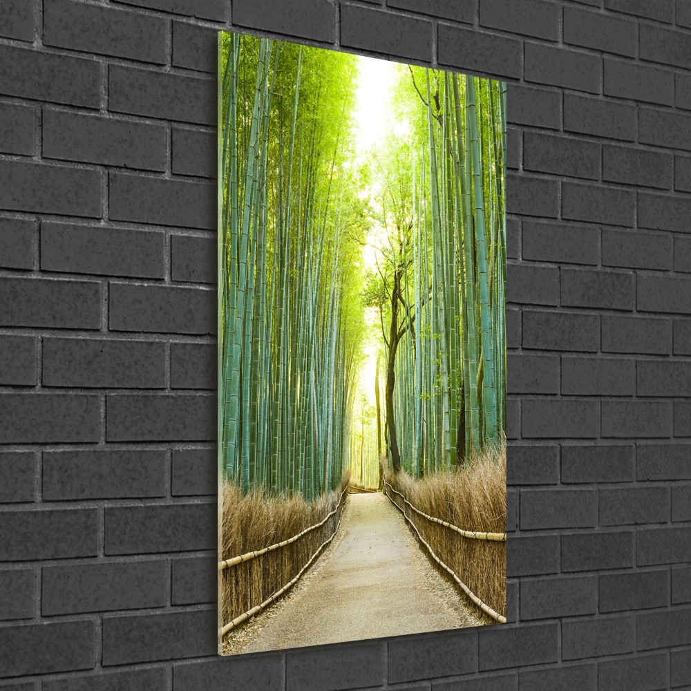 Glass wall art Bamboo forest