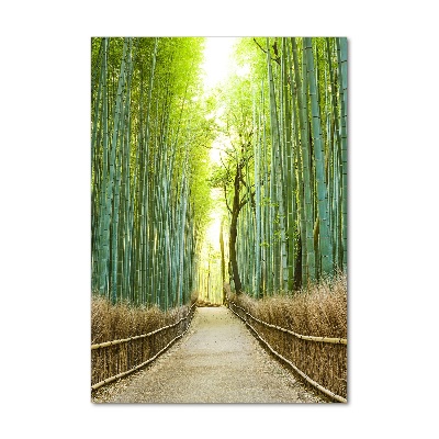 Glass wall art Bamboo forest