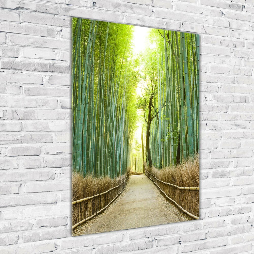 Glass wall art Bamboo forest