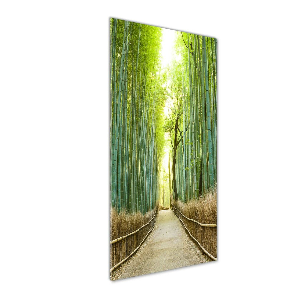 Glass wall art Bamboo forest