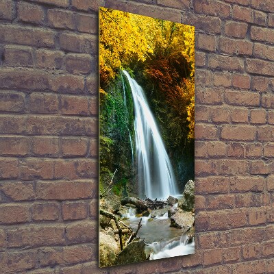 Glass wall art Waterfall in the forest