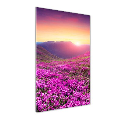 Print on a a glass Rhododendron mountains