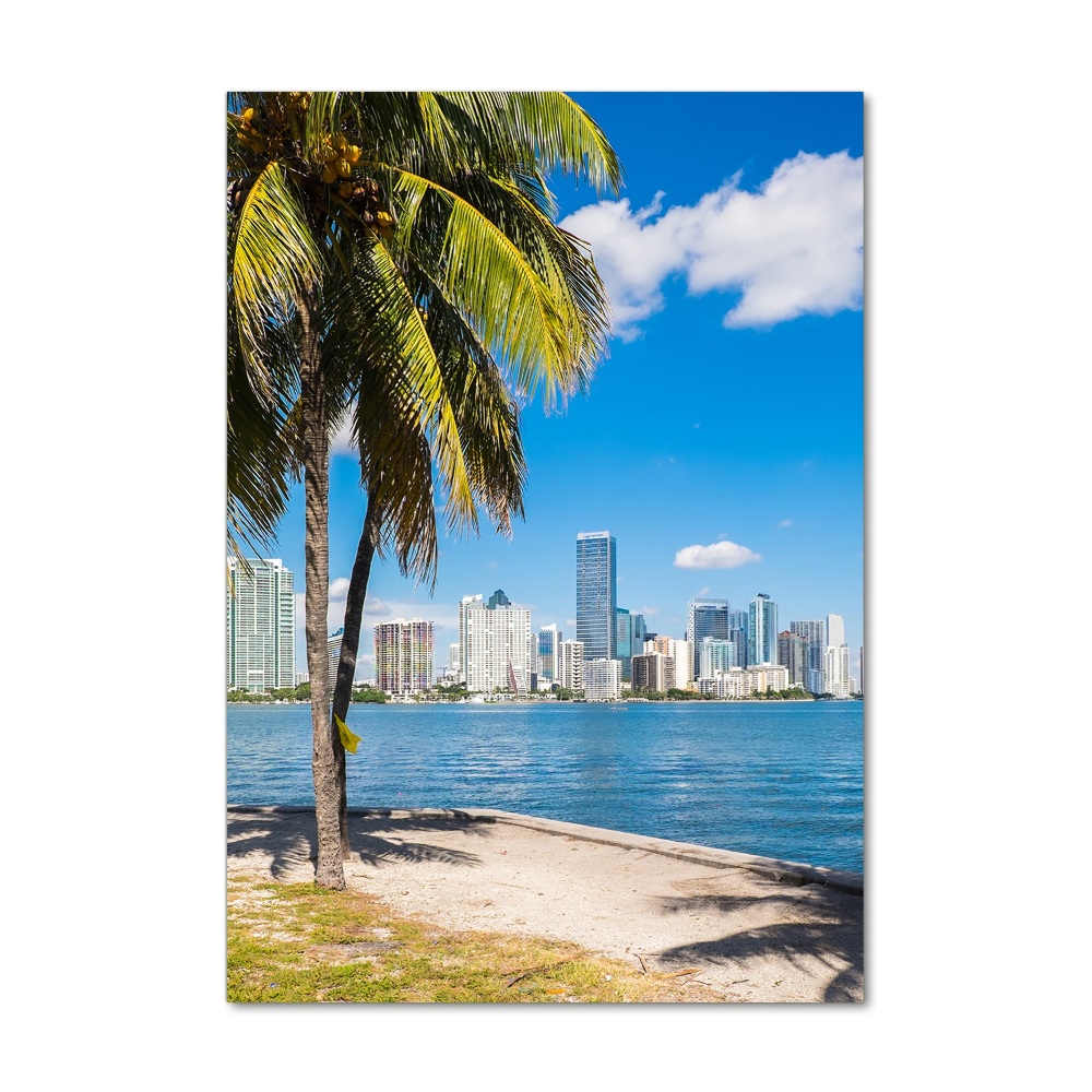 Photo printed on glass Miami